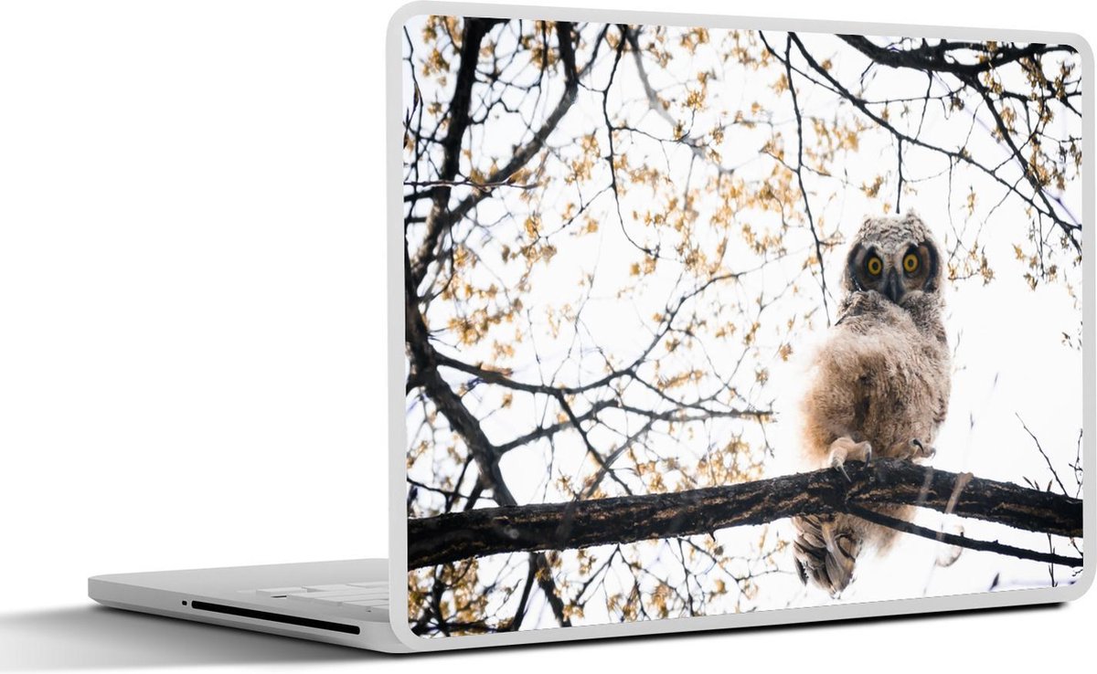 Laptop sticker - 10.1 inch - Amerikaanse oehoe in een bloesemboom