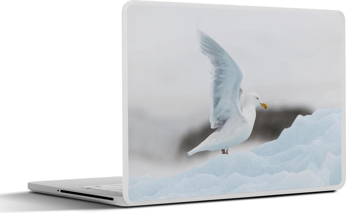 Laptop sticker - 10.1 inch - actiefoto van een grote burgemeester die landt op ijschots