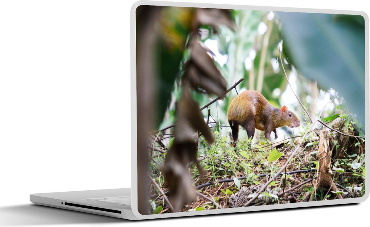 Laptop sticker - 10.1 inch - Agoeti in het bos