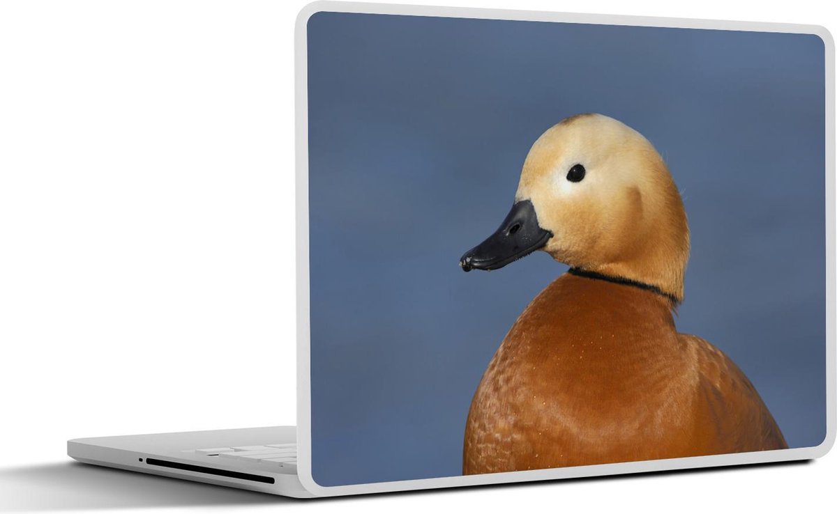 Laptop sticker - 10.1 inch -  een bergeend in Zwitserland