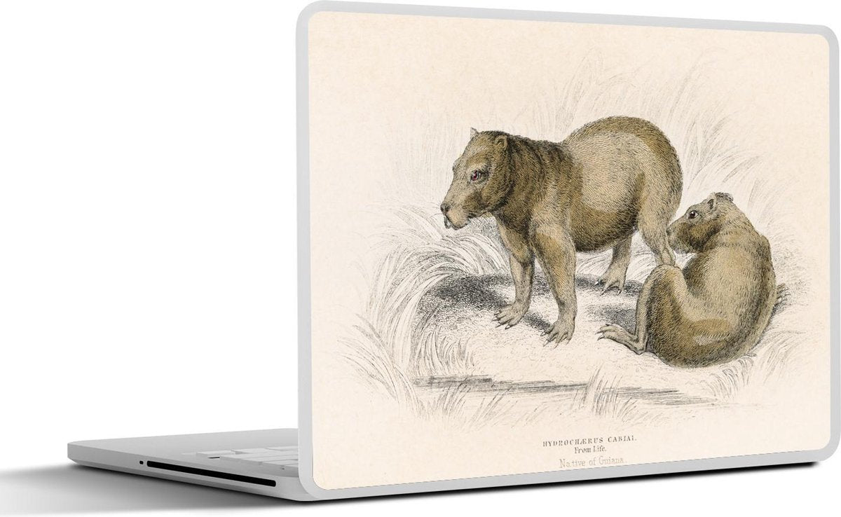 Laptop sticker - 10.1 inch - Illustratie van twee capibaras