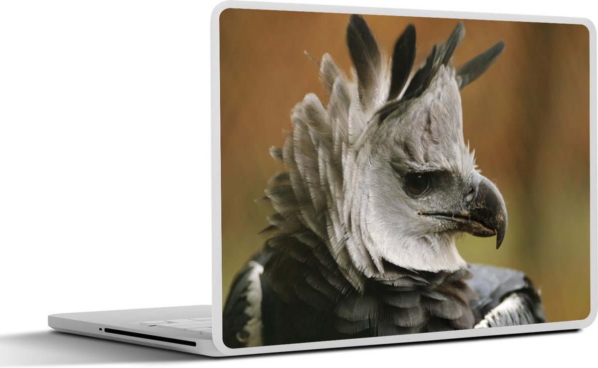 Laptop sticker - 10.1 inch -  de harpijarend