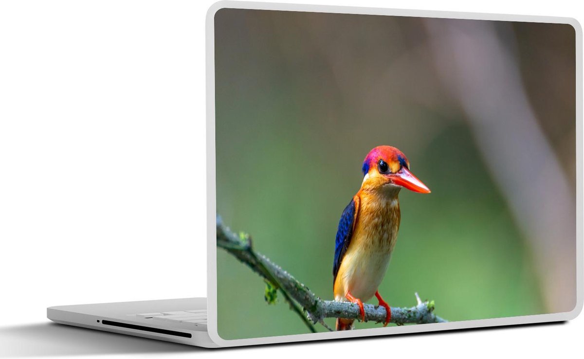 Laptop sticker - 10.1 inch - Afwachtende dwergijsvogel