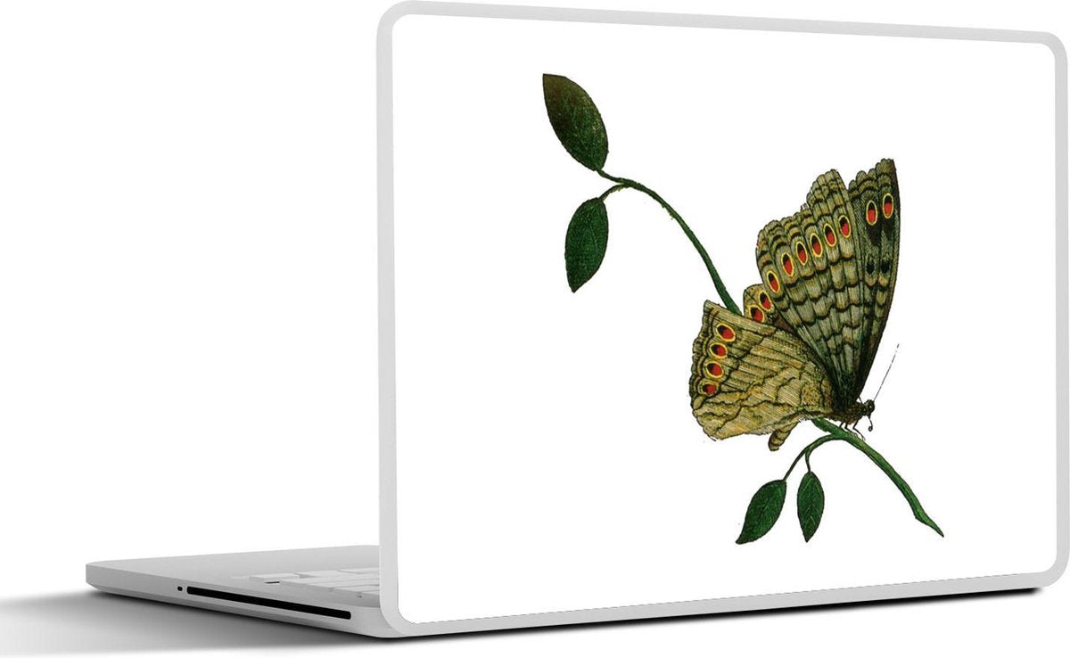 Laptop sticker - 10.1 inch - Illustratie van een groene vlinder op een tak