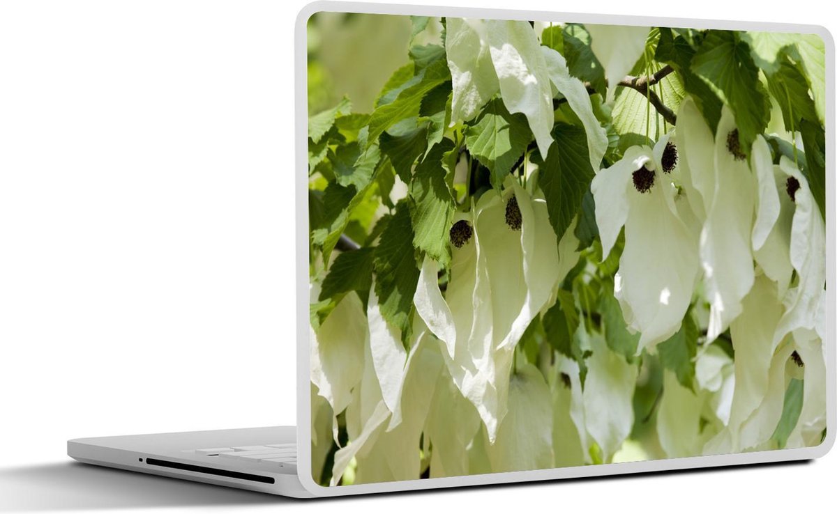 Laptop sticker - 10.1 inch - Afbeelding van een vaantjesboom