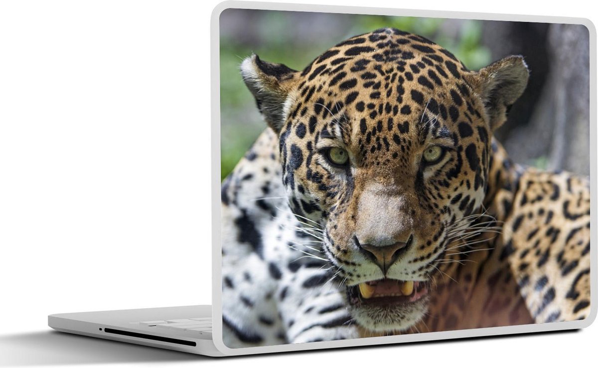 Laptop sticker - 10.1 inch - Jaguar - Wild - Regenwoud