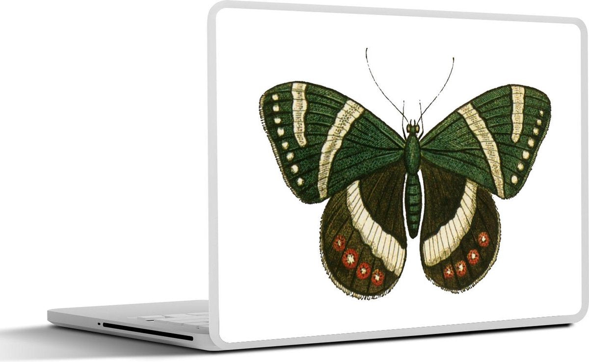 Laptop sticker - 10.1 inch - Illustratie van een groen met bruine vlinder