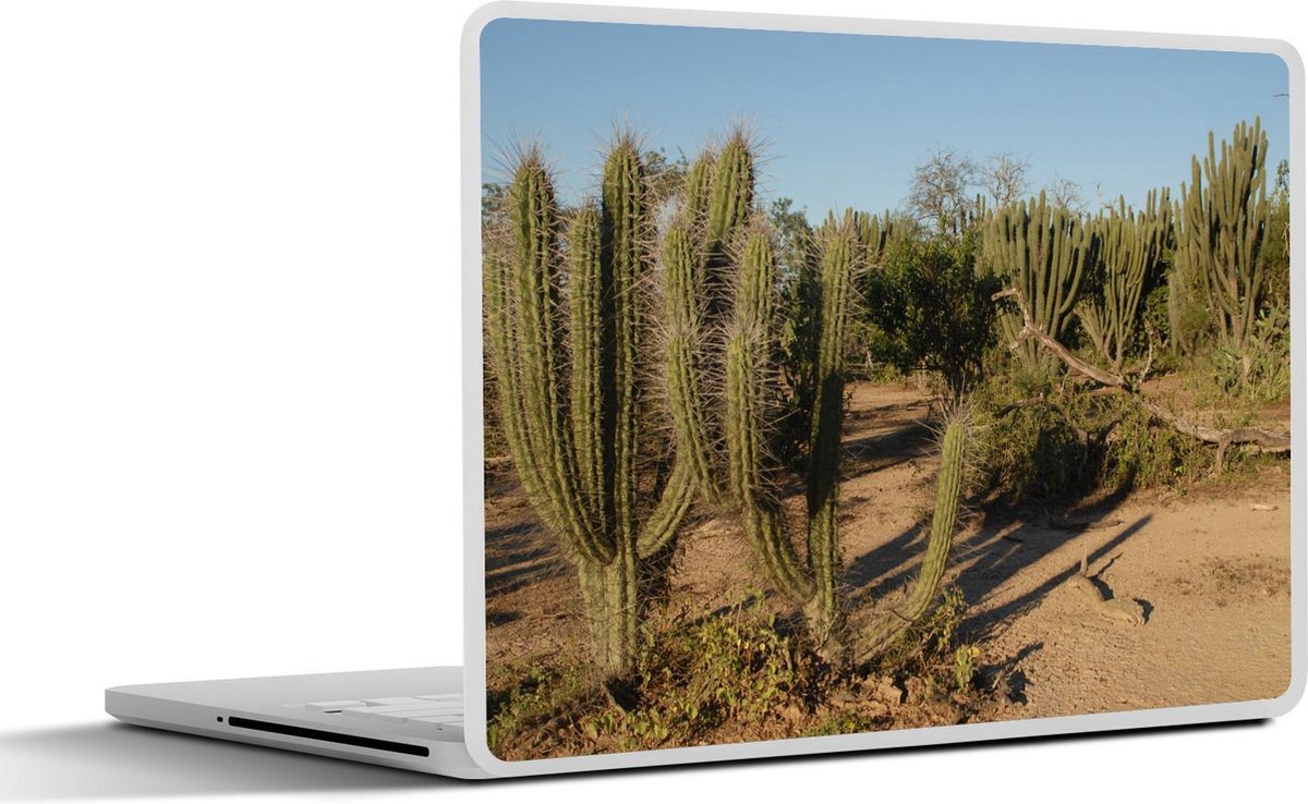 Laptop sticker - 10.1 inch - Indrukwekkende cactussen in het Nationaal park Chaco in Paraguay