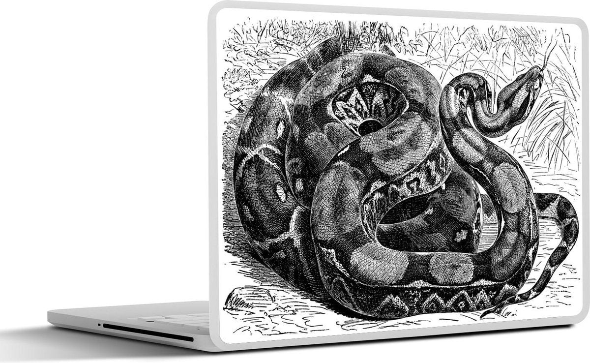 Laptop sticker - 10.1 inch - Illustratie van een boa constrictor