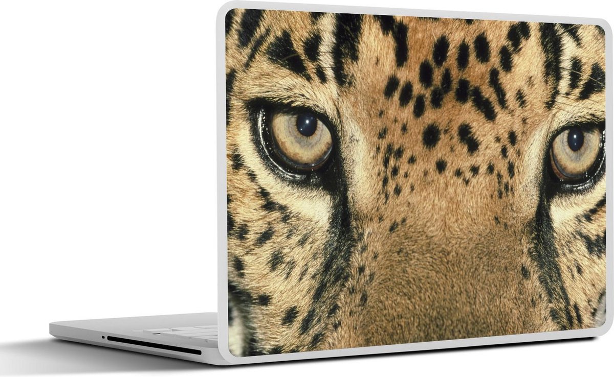 Laptop sticker - 10.1 inch - Jaguar - Ogen - Stippen
