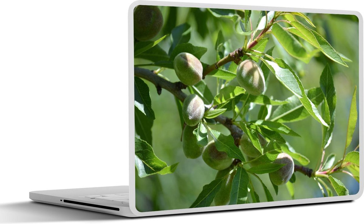 Laptop sticker - 10.1 inch - Amandelnoten