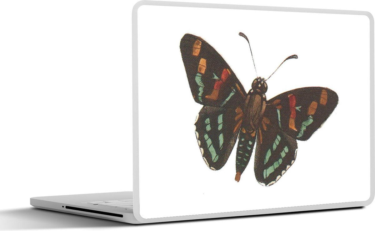Laptop sticker - 10.1 inch - Illustratie van een zwarte vlinder met groene en oranje strepen