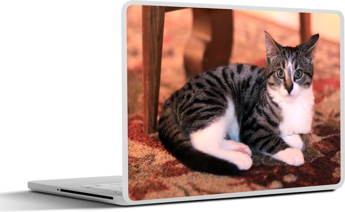 Laptop sticker - 10.1 inch - Amerikaanse Korthaar ligt op het tapijt