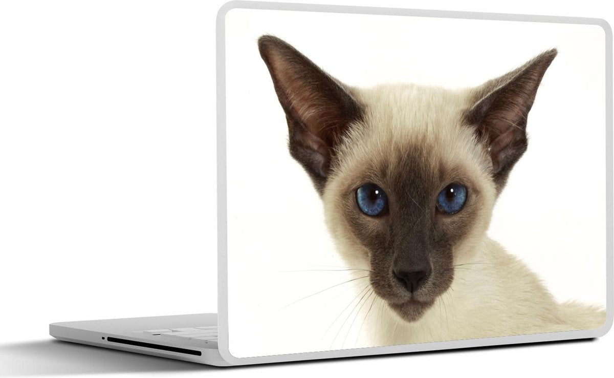 Laptop sticker - 10.1 inch -  een Siamees kat