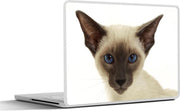 Laptop sticker - 10.1 inch -  een Siamees kat