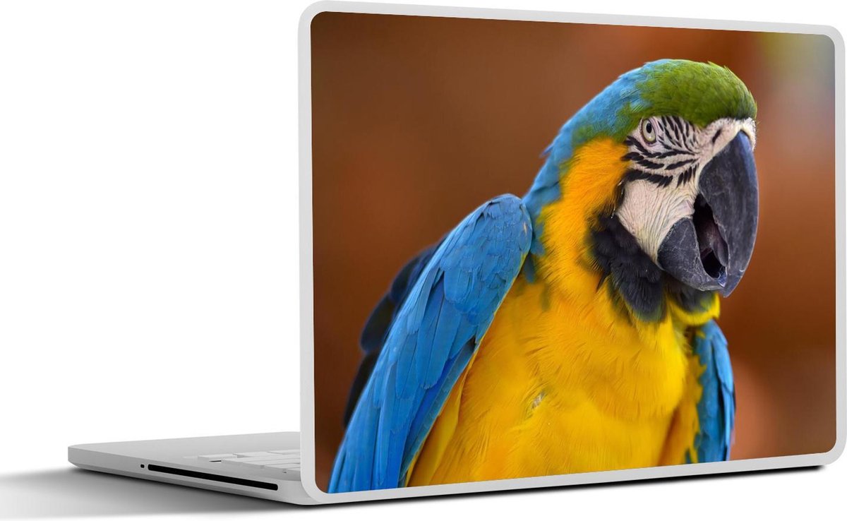 Laptop sticker - 10.1 inch -  een kleurrijke blauwkeelara