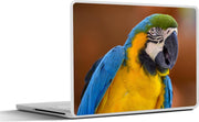 Laptop sticker - 10.1 inch -  een kleurrijke blauwkeelara