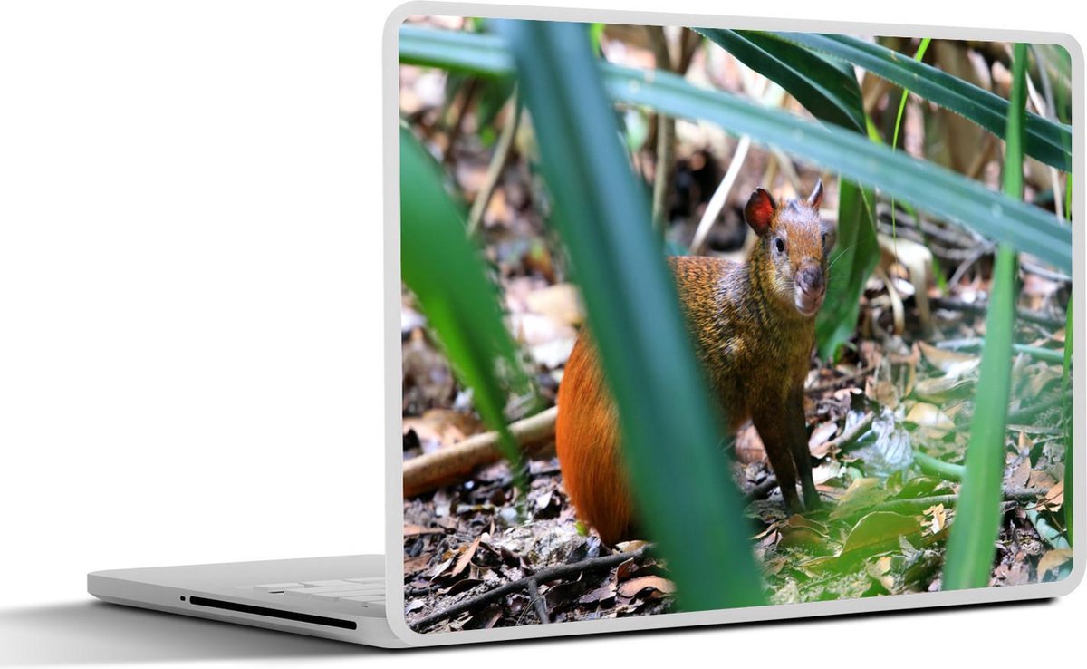Laptop sticker - 10.1 inch - Agoeti tussen de struiken