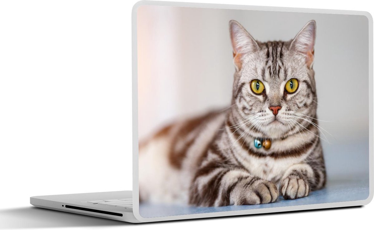 Laptop sticker - 10.1 inch -  een Amerikaanse Korthaar