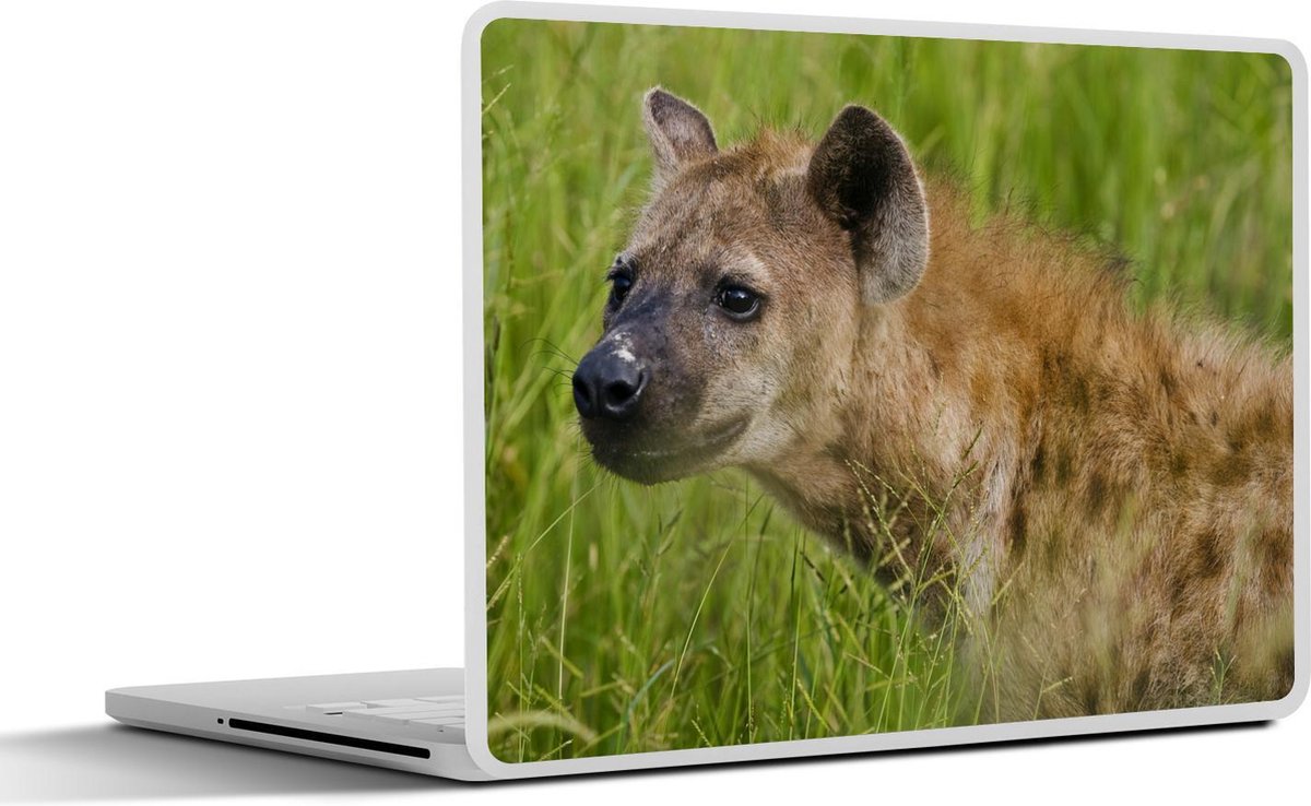 Laptop sticker - 10.1 inch - Afrikaanse gevlekte hyena in het groene gras