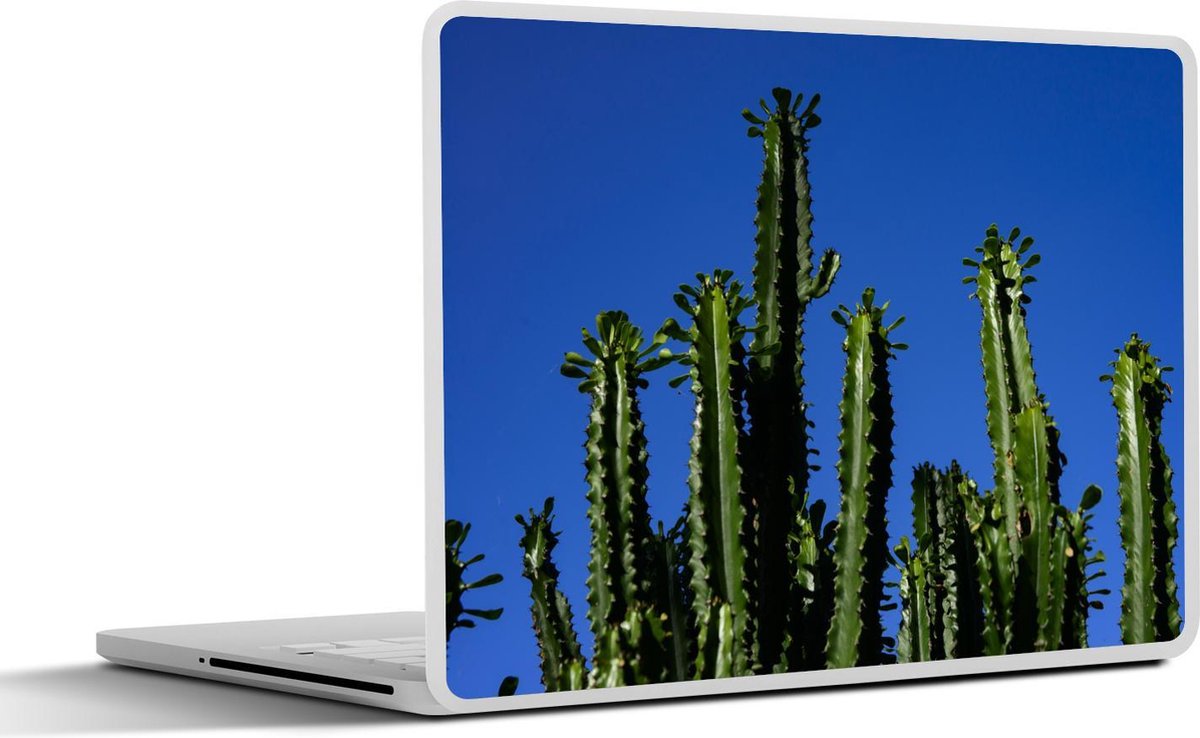 Laptop sticker - 10.1 inch - Afrikaanse melkboom onder een blauwe lucht