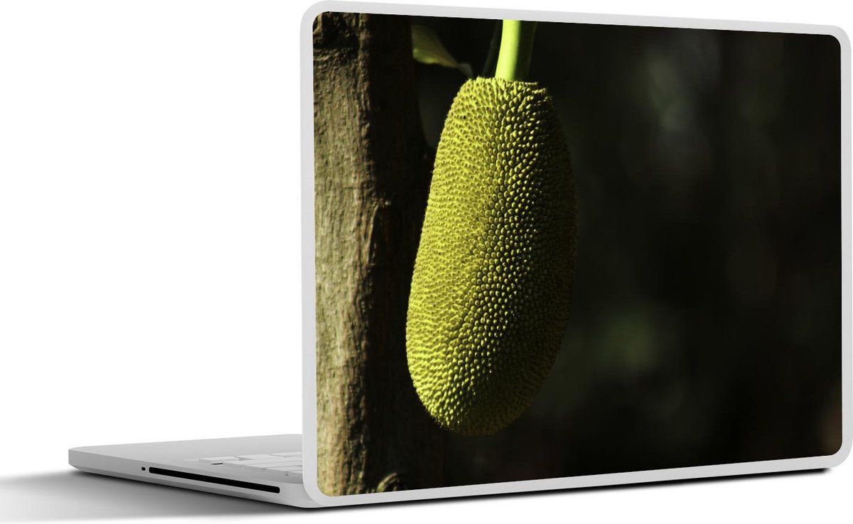 Laptop sticker - 10.1 inch - Jackfruit of nangka dat eenzaam aan de boom hangt