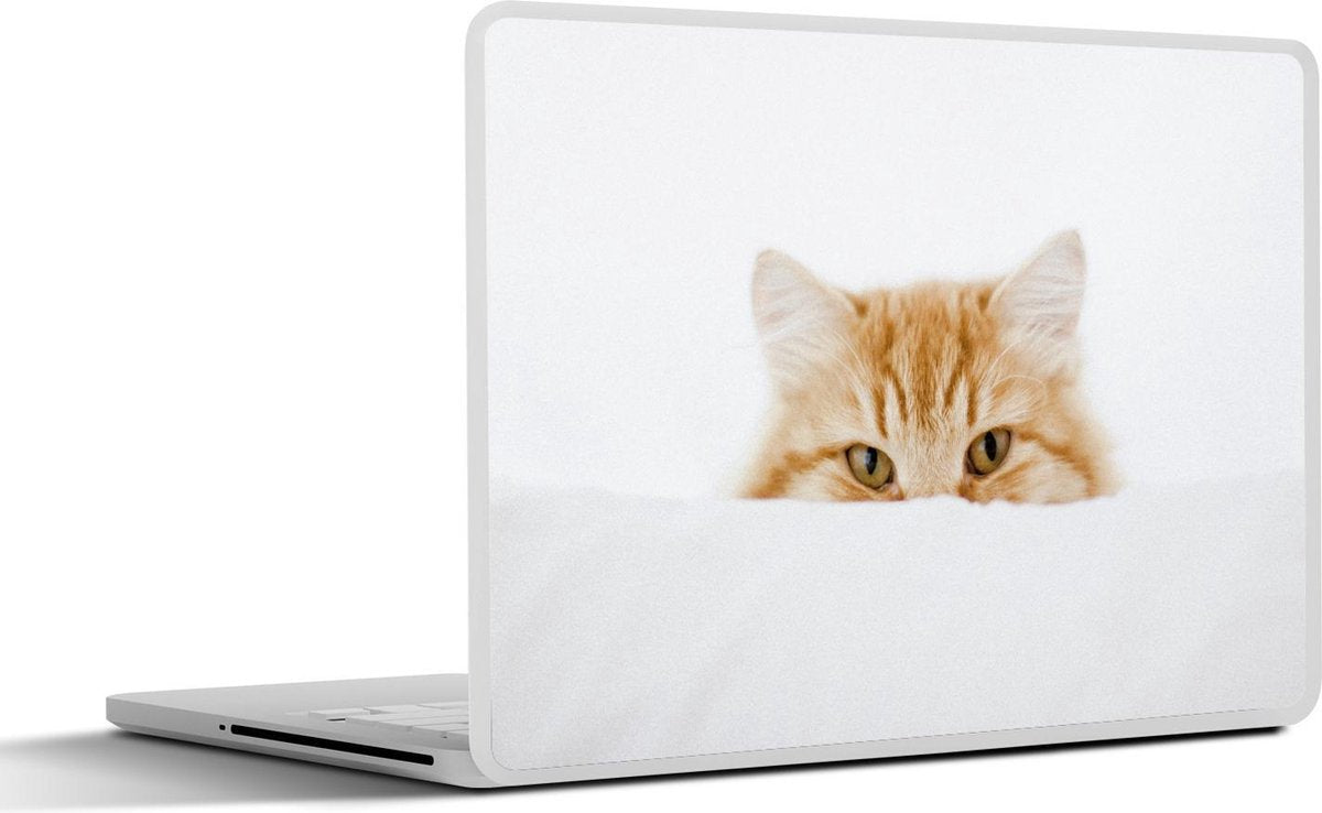 Laptop sticker - 10.1 inch -  rode kat