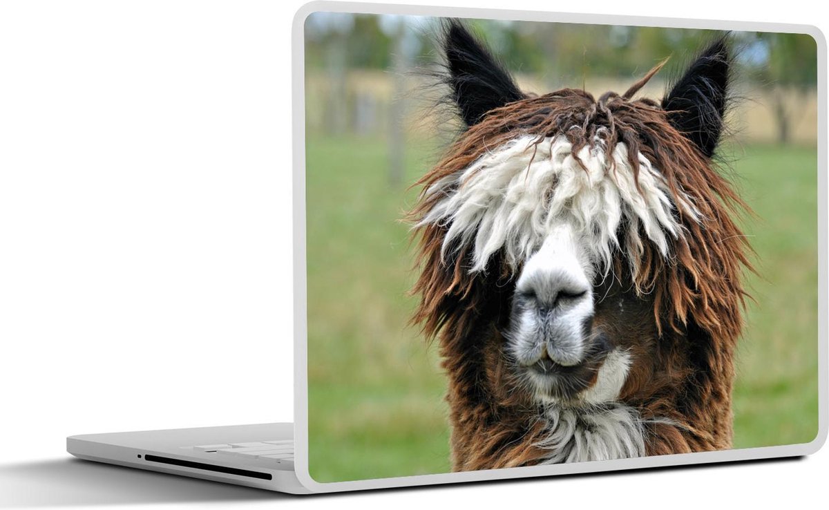 Laptop sticker - 10.1 inch - Alpaca met witte en bruine krullen
