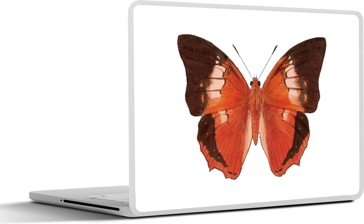 Laptop sticker - 10.1 inch - Illustratie van vlinder met oranje en zwarte vleugels