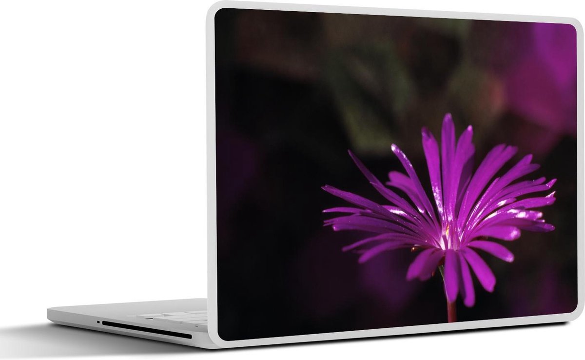 Laptop sticker - 10.1 inch - Alleenstaand ijskruid in de natuur