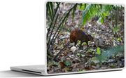 Laptop sticker - 10.1 inch - Agoeti opzoek naar voedsel