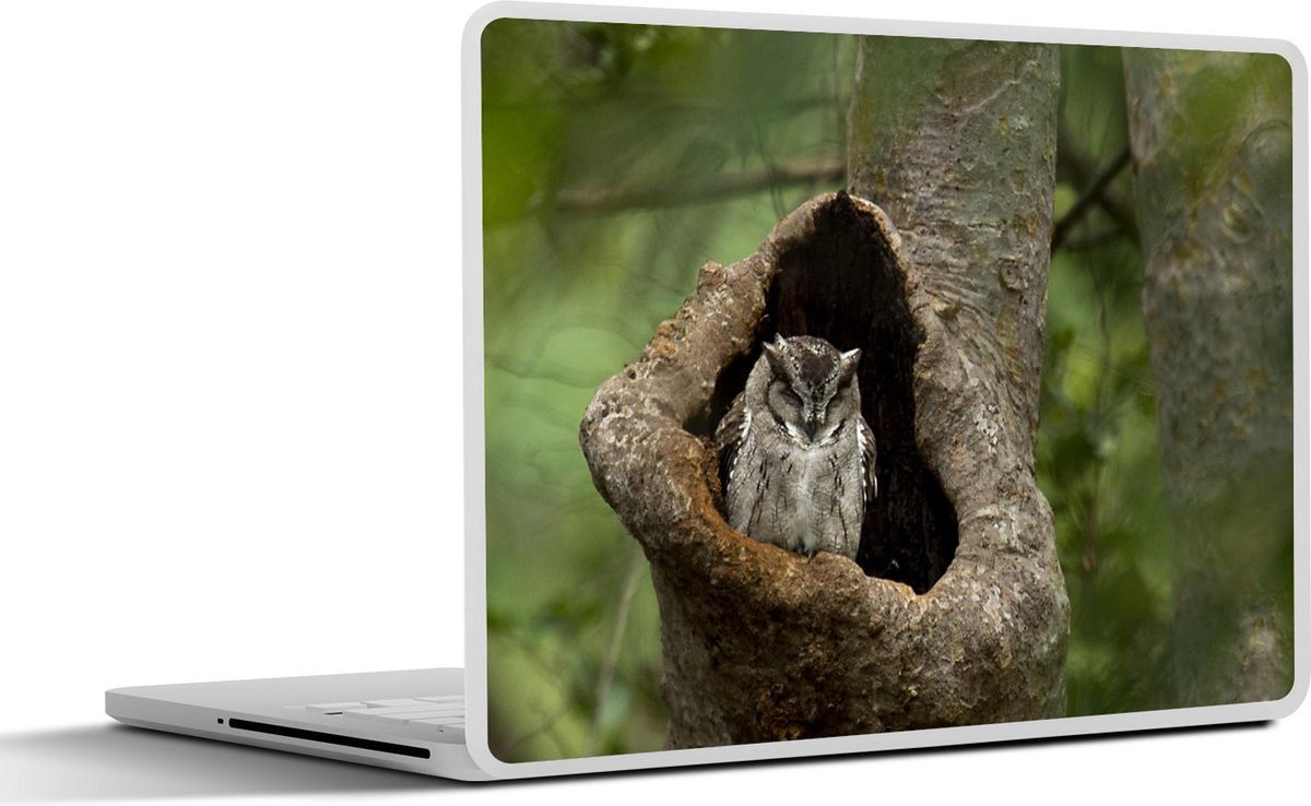 Laptop sticker - 10.1 inch - Indische dwergooruil in zijn nest