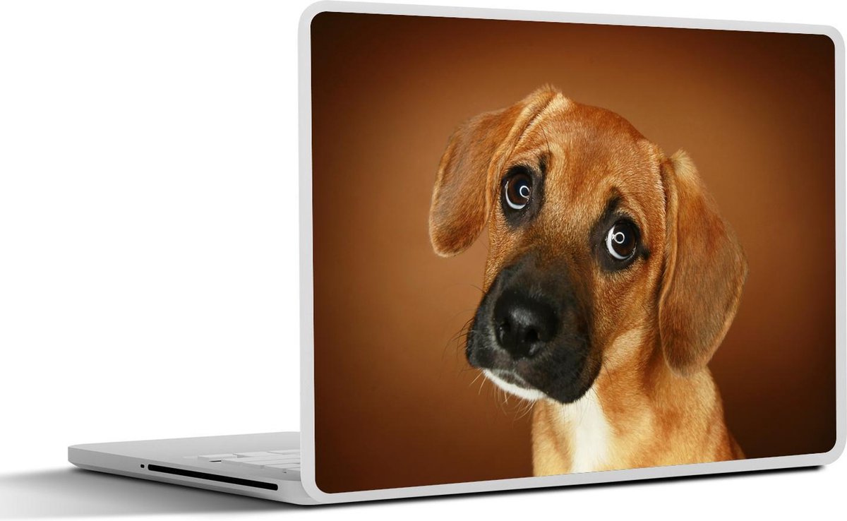Laptop sticker - 10.1 inch -  een goudbruine Beagle