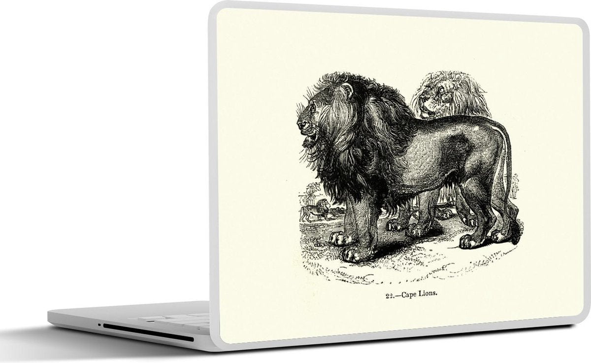 Laptop sticker - 10.1 inch - Illustratie van twee Kaapse Leeuwen