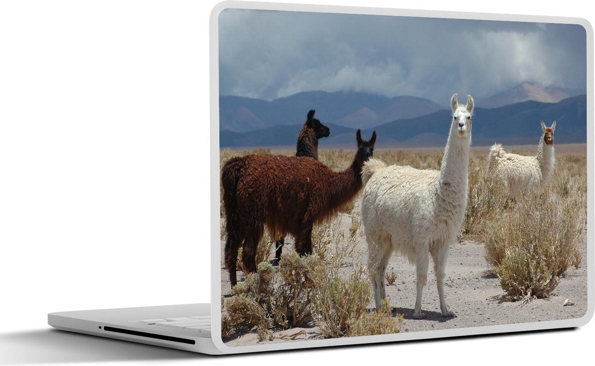 Laptop sticker - 10.1 inch - Alpaca's in een droog gebied