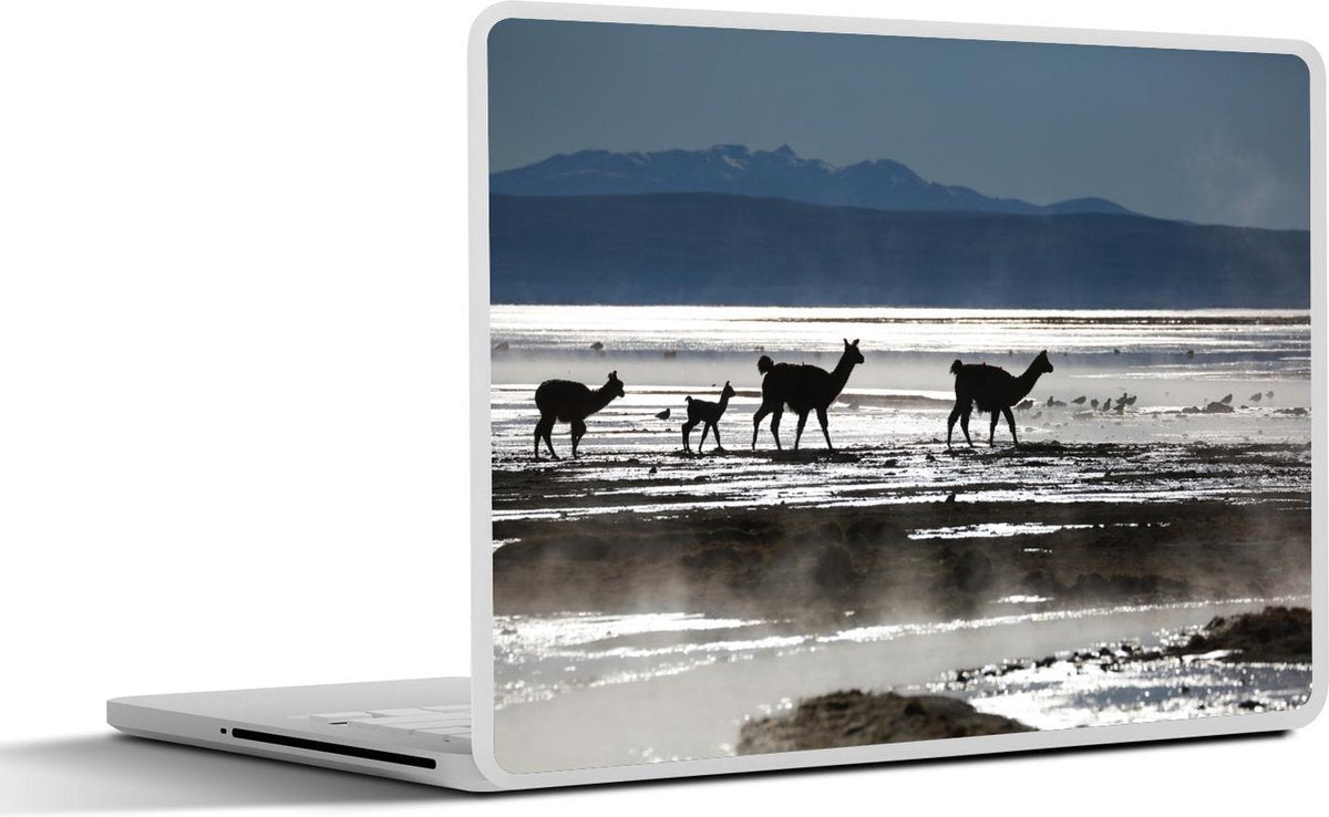 Laptop sticker - 10.1 inch - Alpaca's bij warmwaterbron