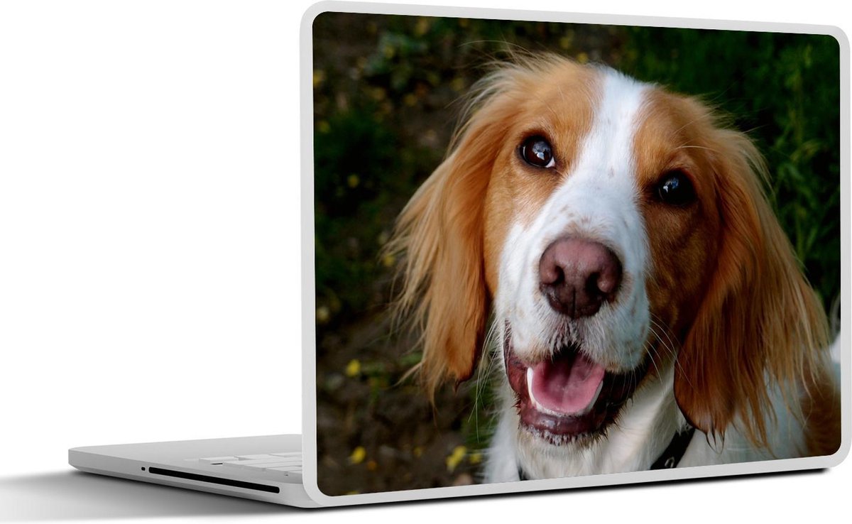 Laptop sticker - 10.1 inch -  een glimlachende Engelse cockerspaniël