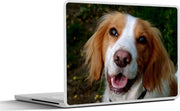 Laptop sticker - 10.1 inch -  een glimlachende Engelse cockerspaniël