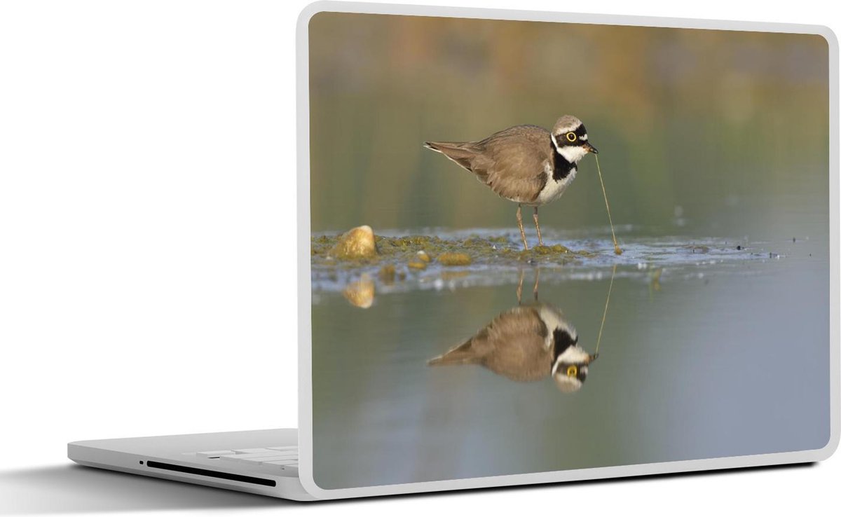 Laptop sticker - 10.1 inch - Jagende plevier