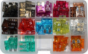 Zekering assortiment MINI 100 stuks normaal