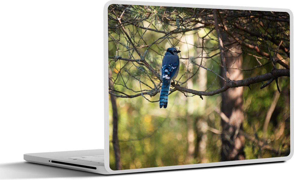 Laptop sticker - 10.1 inch - Afbeelding van een gaai hoog in een boom