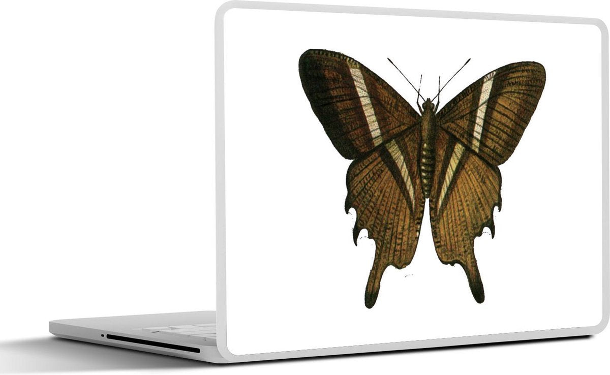 Laptop sticker - 10.1 inch - Illustratie van een bruine vlinder met een witte streep