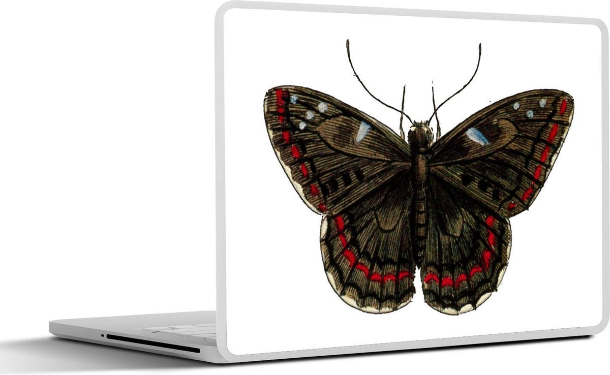 Laptop sticker - 10.1 inch - Illustratie van een bruin blauwtje vlinder