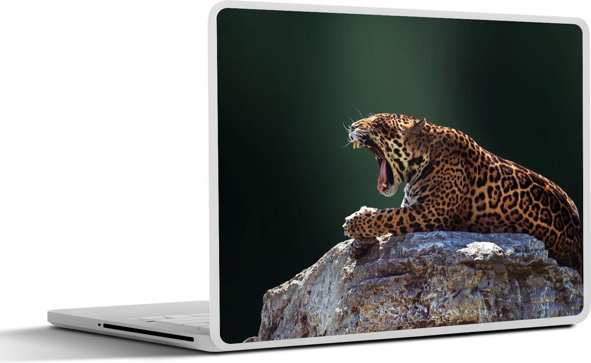 Laptop sticker - 10.1 inch - Jaguar - Rots - Zon