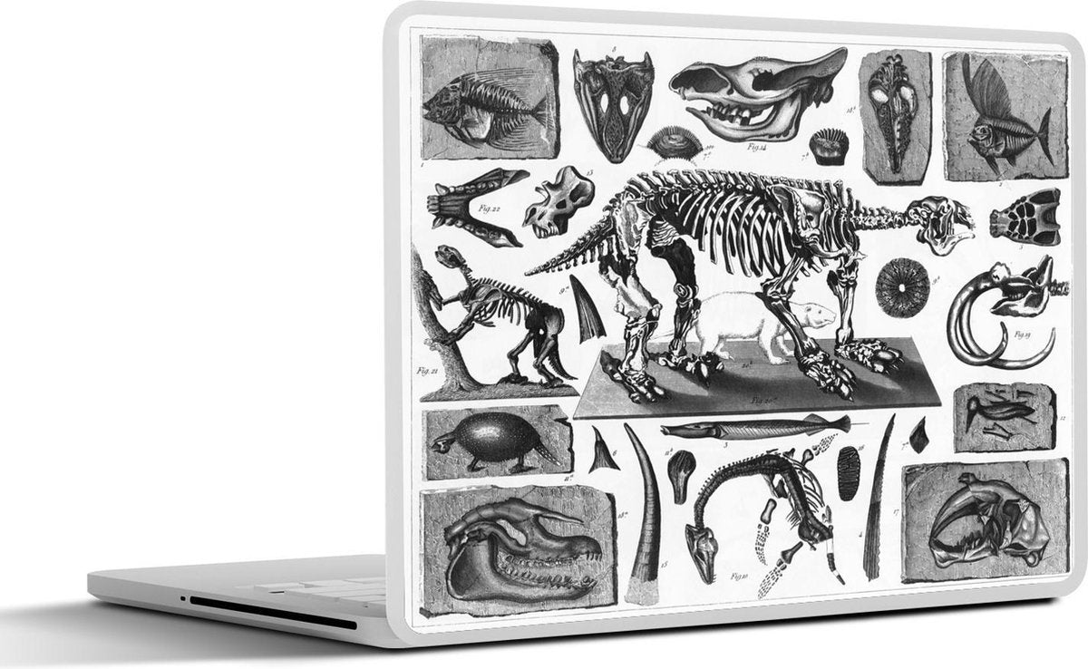 Laptop sticker - 10.1 inch - Illustraties van skeletten en fossielen