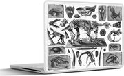 Laptop sticker - 10.1 inch - Illustraties van skeletten en fossielen