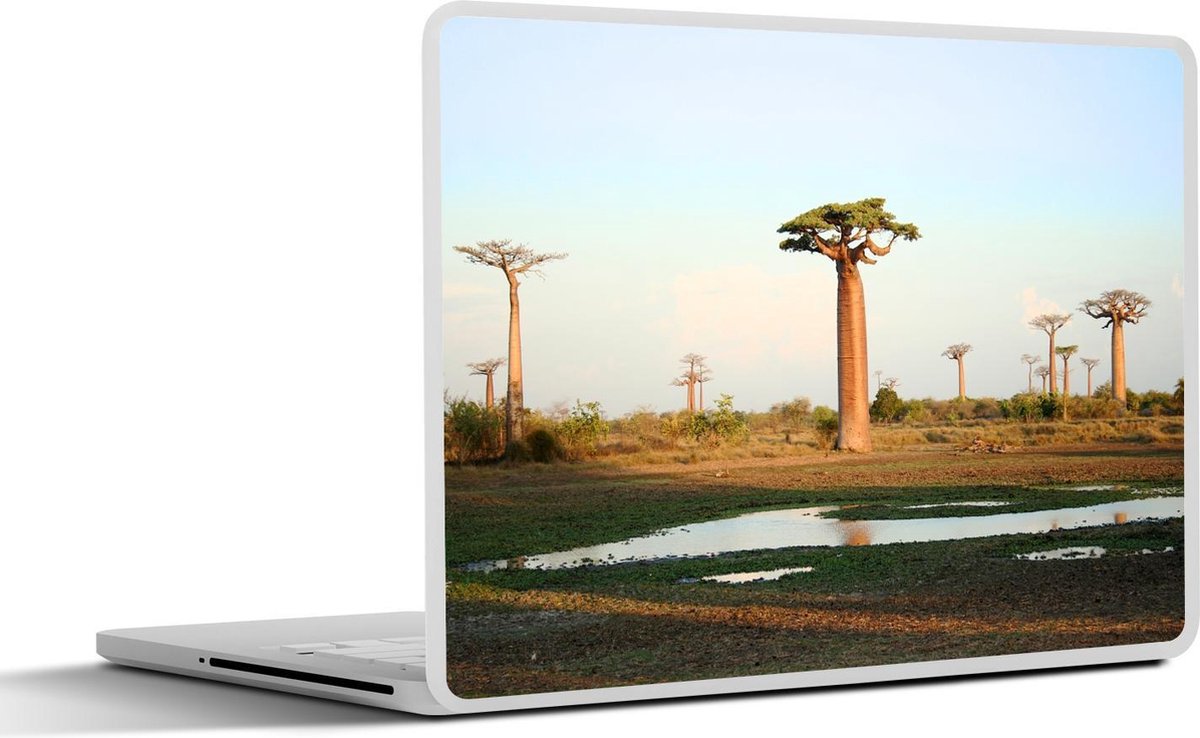 Laptop sticker - 10.1 inch - Afrikaanse baobab-of Adansonia digitata in Madagascar