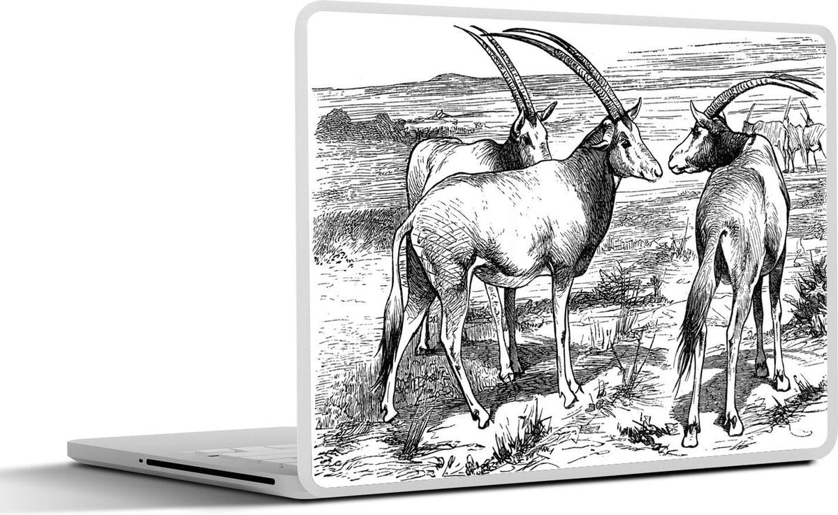 Laptop sticker - 10.1 inch - Illustratie van een drietal Spiesbokken