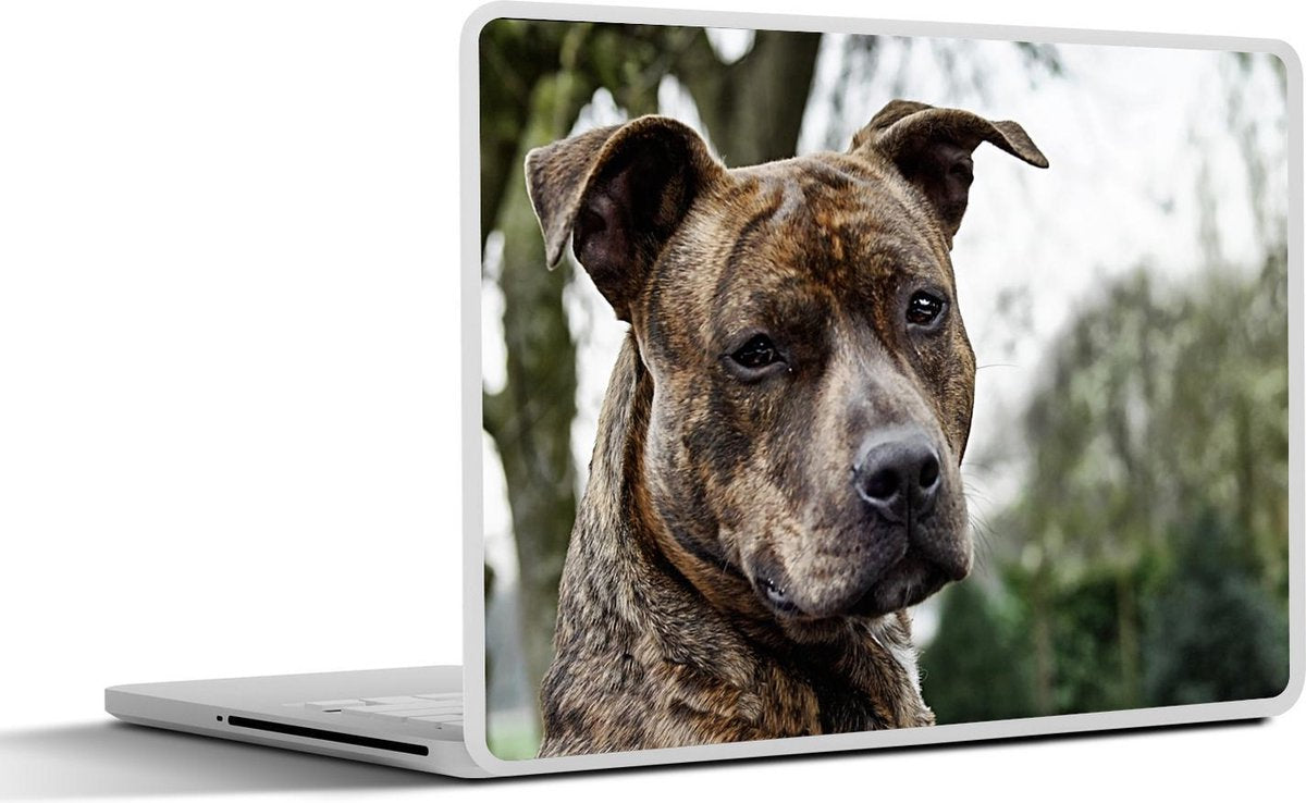 Laptop sticker - 10.1 inch -  een Amerikaanse staffordshire terriër