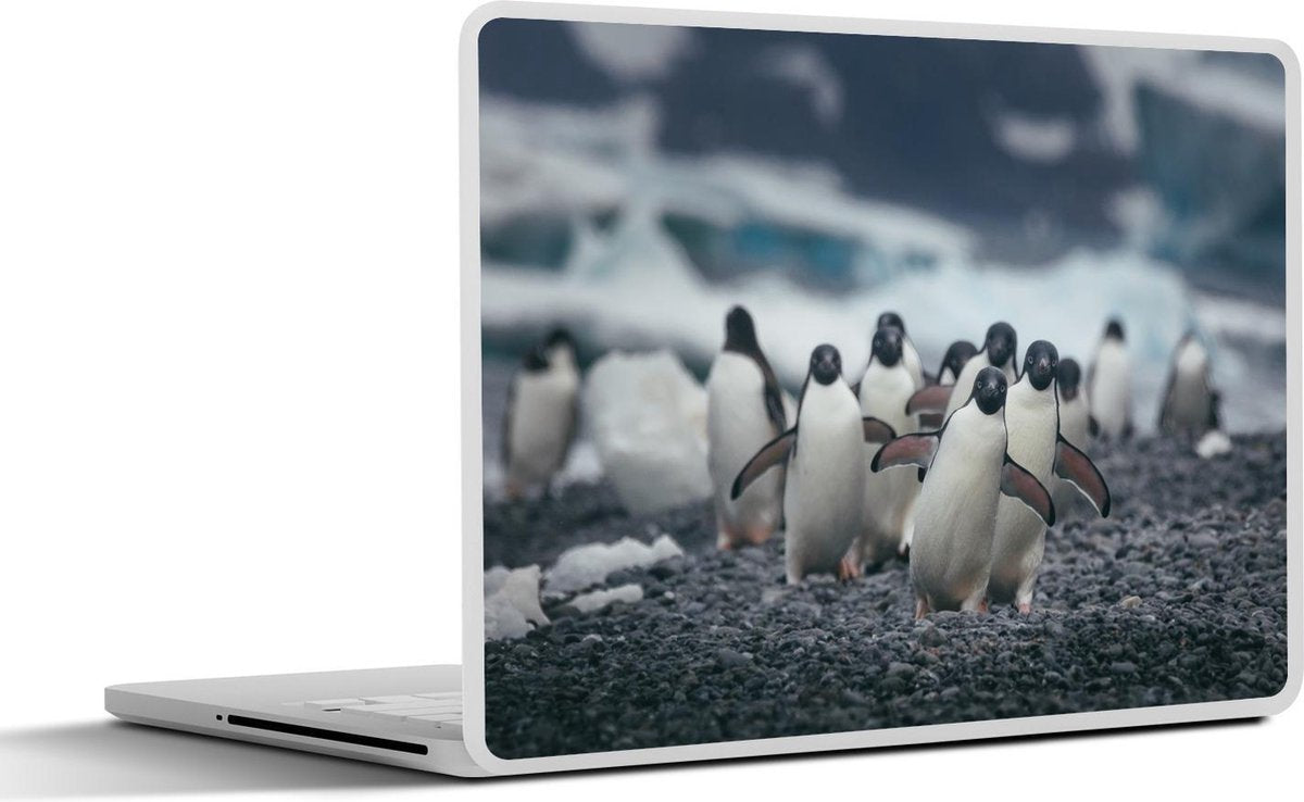 Laptop sticker - 10.1 inch - Adelie pinguïns op het strand